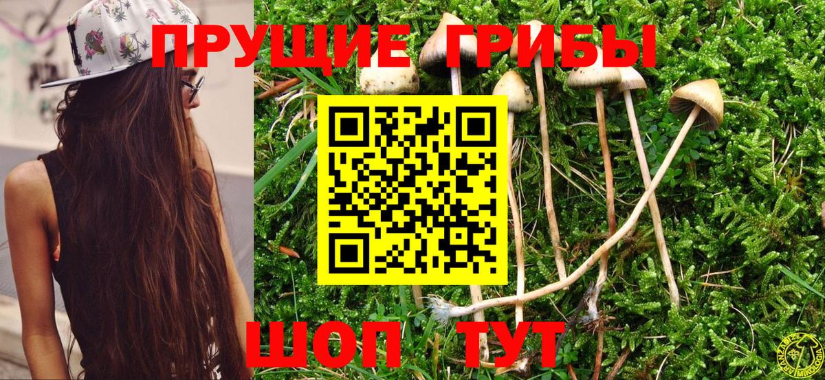 Галлюциногенные грибы мухоморы  Вход с VPN  Советская Гавань 