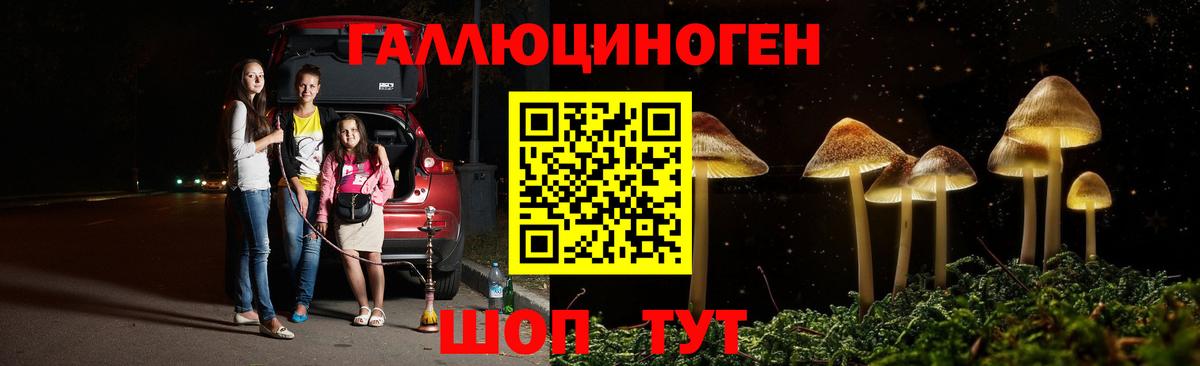 Псилоцибиновые грибы мухоморы Советская Гавань